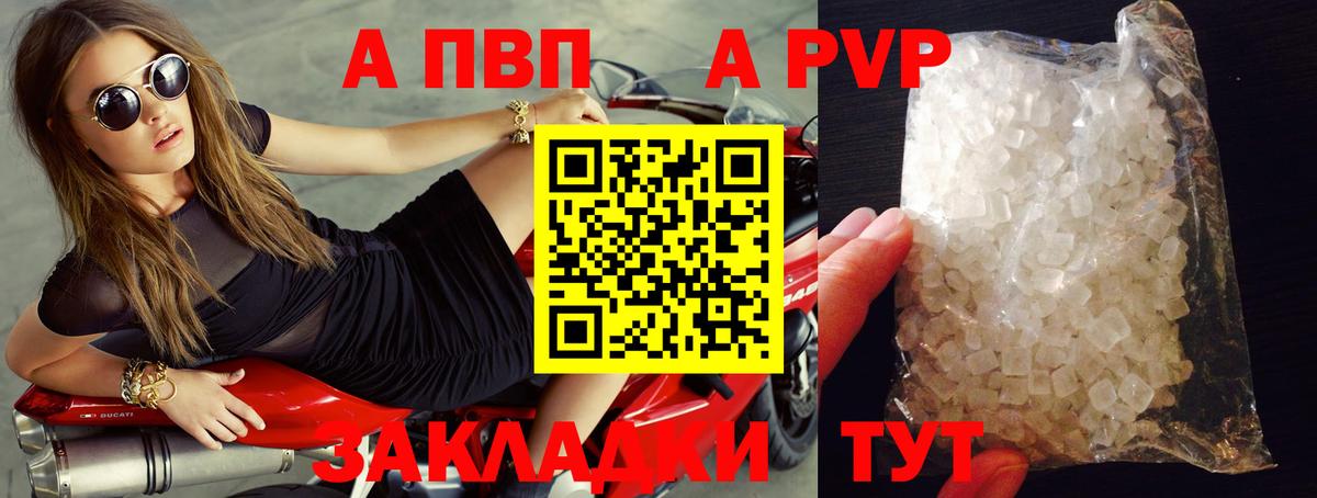 Альфа ПВП СК Выборг