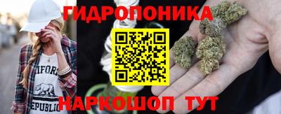 крисы Чебоксары