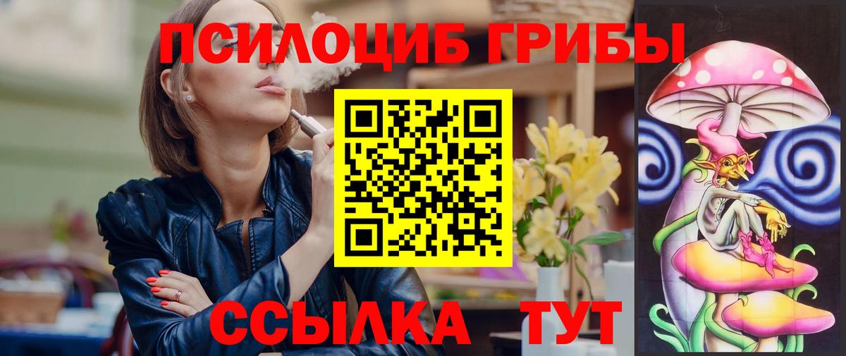 Выборг  Псилоцибиновые грибы Cubensis  Вход с VPN  Галлюциногенные грибы Psilocybe 